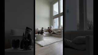 Trash bag prank #shorts