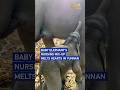 Baby elephant's nursing mix-up melts hearts in Yunnan #coolchina