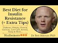 Best Diet for Insulin Resistance (+ Extra Tips) • Dr Benjamin Bikman