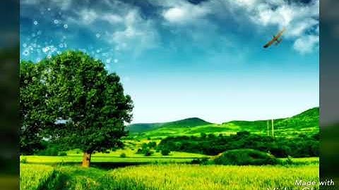تلاوه خاشعه للشيخ محمود شعبان اخر المزمل