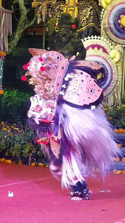 Mantap kang kendang & Barong cilik buntut
