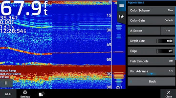 Advanced Traditional 2D Sonar Setting for Jigging Lake Trout