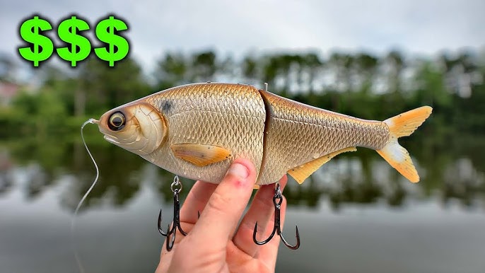 Swimbait Review: Hinkle Shad 
