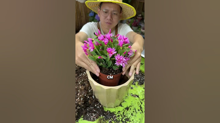 The right way to repot your plant? Have you learned it? #Reportplant #lotus