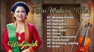 WALDJINAH - RATU WALANG KEKEK @dasastudio