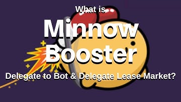 What is Minnowbooster?