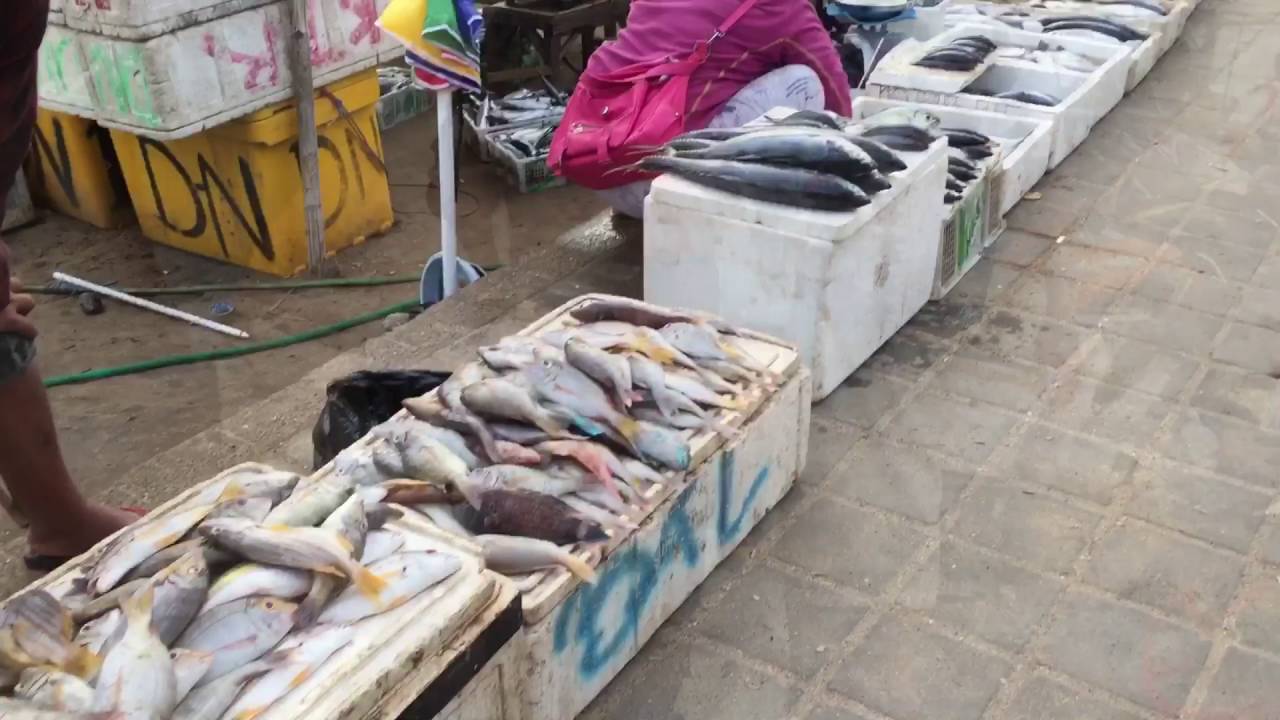 Kalap Makan Seafood Murah di Kedonganan Bali 