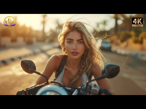 Summer Trip Music Mix 2024 ⛅️ Songs to play on a road trip 🏍️ Alan Walker, Rihanna, Avicii style #2