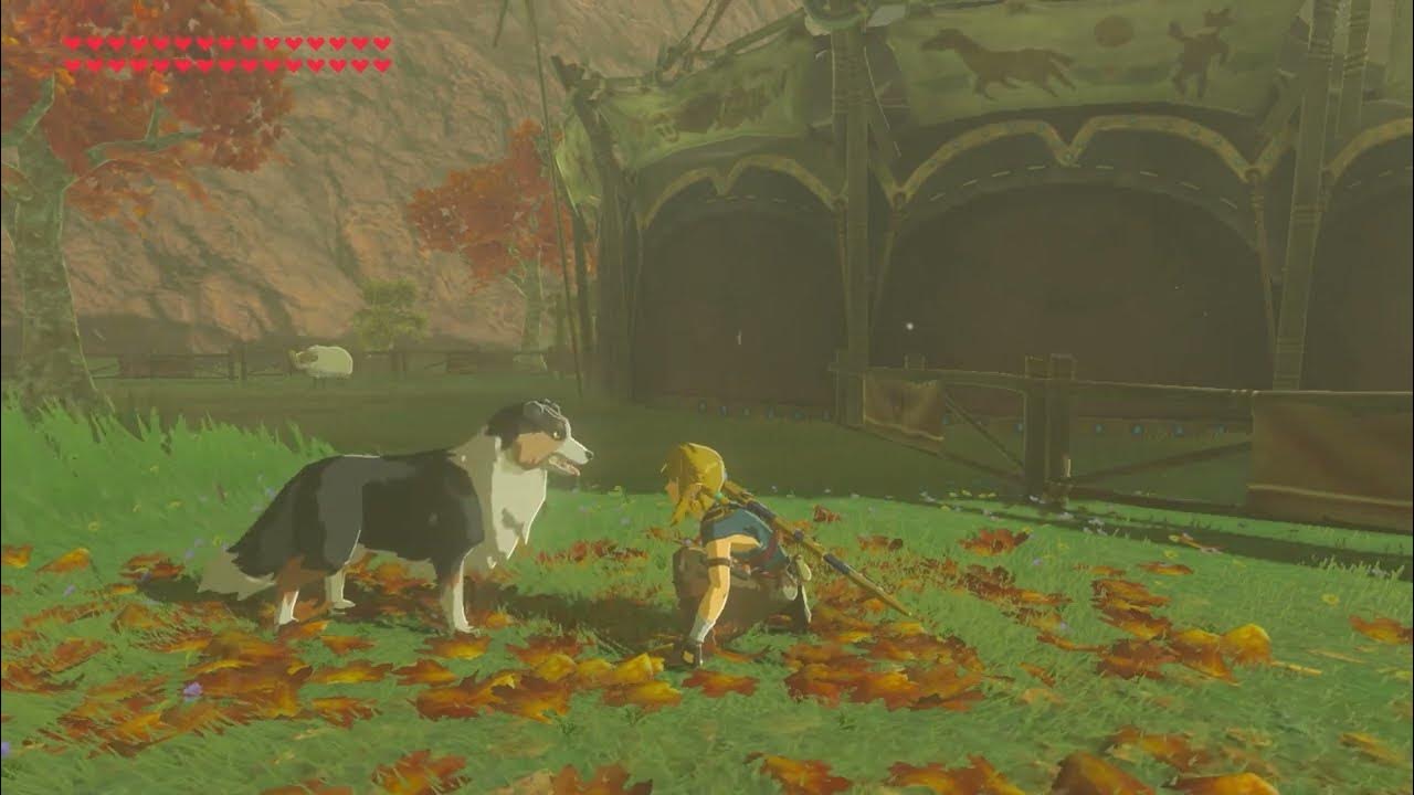 Playing with every dog in Botw before Totk Part 2 (S Akkala Stable