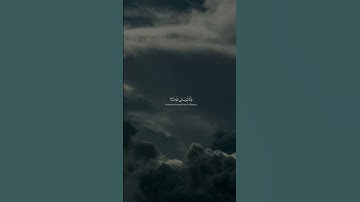 محمد اللحيدان - سورة الفرقان| وكان الله غفورا رحيما #قران #اكسبلور #تلاوة_خاشعة #راحة_نفسية #tilawet