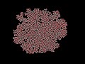 Multiple Neighborhoods Cellular Automata