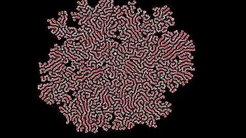 Multiple Neighborhoods Cellular Automata