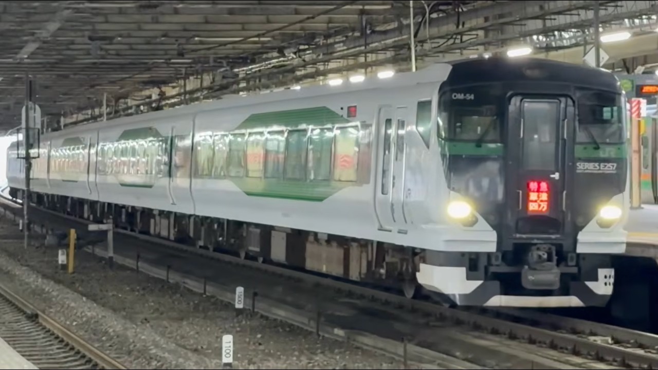 蘇鉄 特急草津四万34号】E257系5500番台OM54編成 上野行きが 熊谷駅2番線を