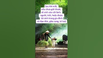 Người hiếu thuận với cha mẹ thì sẽ được hưởng phước báu gì