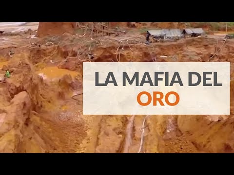 Vídeo: Alerta De Acción: Proteger Las Tierras Públicas De EE. UU. De La Perforación Y La Minería - Matador Network