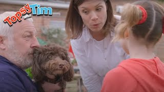 Topsy &amp; Tim - New Puppy! | Full Episode Compilation | Shows for Kids | HD