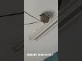 電線上燕子窩aneh tapi nyata.sarang burung di atas kabel listrik