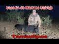 Le apunte a un Marrano y le di a otro!!!! Caceria de marranos!