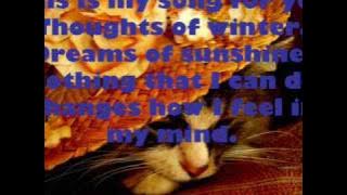 Song for you (Song 4 U) - Daniel Boaventura - Música e letra