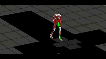 OpenSim Walking Simulation