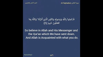 سورة التغابن كاملة ٣/٨