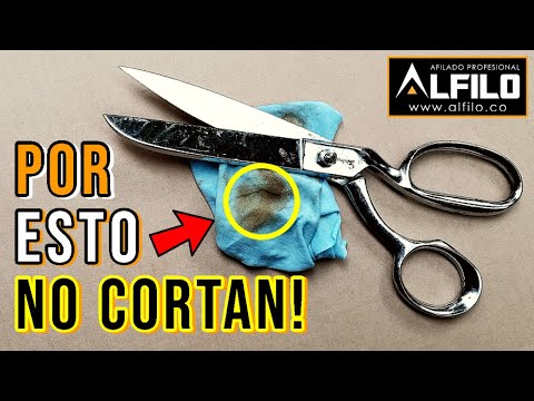 CÓMO AFILAR TIJERAS Técnicas fáciles para principiantes y un corte perfecto  GARANTIZADO! 