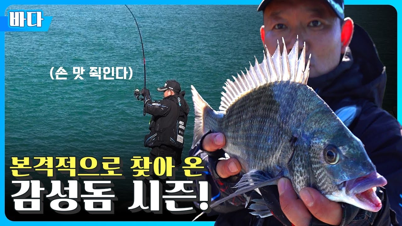 Острые ощущения от последовательных хоумранов на острове Дэмодо [Bold Fishing EP.177]