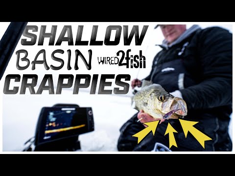 Ice Fishing Crappie With Tungsten Jigs and Plastics 