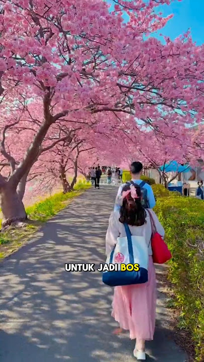 Orang Jepang Lebih Memilih Hidup Sederhana #shorts