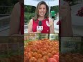 ¿Qué es la ciclosporiasis y cómo prevenir esta infección causada por alimentos contaminados?