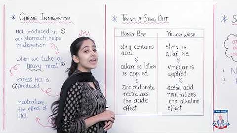 Class 7 - Science - Chapter 9 - Lecture 5  Neutralization - Allied Schools
