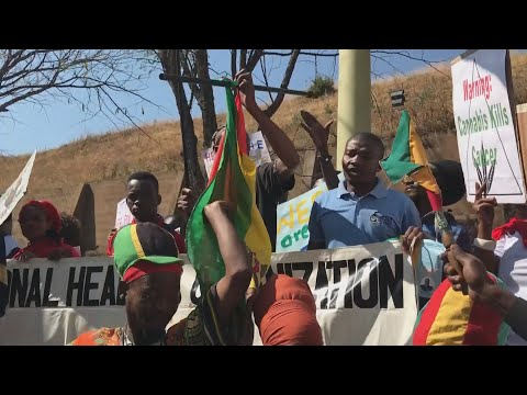 Vídeo: Em que partes da África do Sul o dagga é um problema?
