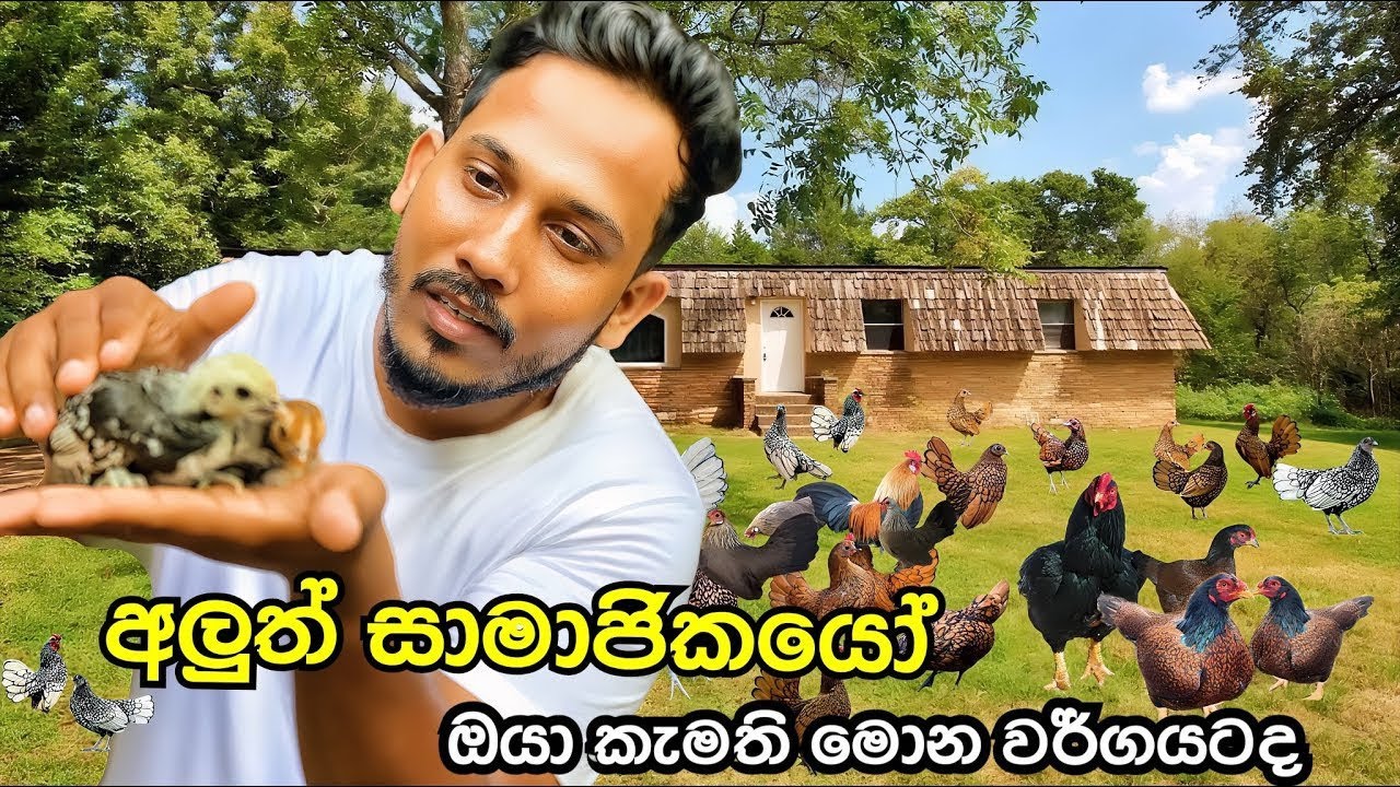 එයාලා ඉපදිලා 🐣🙈😍 Small Farm: 5 Eggs Every Day, 🐕🐣🐥🐤🐔￼සත්තුත් එක්කම ගෙවනු දවසක් ￼