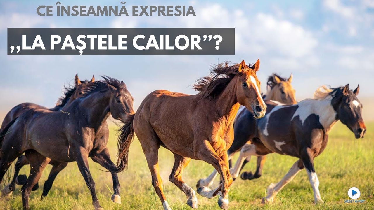 Ce înseamnă expresia “La Paștele cailor” și cum a apărut