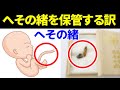 【へその緒を保管しておくのはなぜ？】へその緒を記念に取っておく意味や由来！へその緒の処分方法とは？