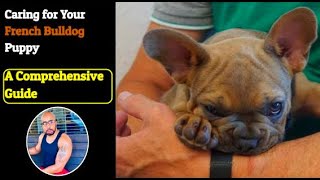 How to Care for Your #FrenchBulldog Puppy Everything You Need To Know by My New Puppy with Ali A. Parker 172 views 11 months ago 3 minutes, 38 seconds