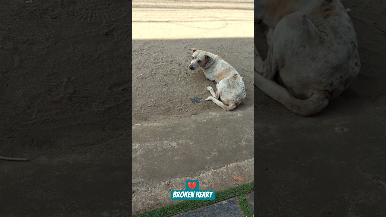 Broken heart 💔💔💔 