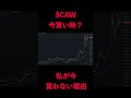 CAW　今買わない理由を話します