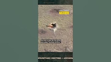 Ukrainian Drones Hit Russian Soldiers With Explosives #warinukraine