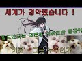 점수 파동함수붕괴 점수 파동함수붕괴