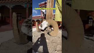 Ladakh | Inside Chemrey Gompa | Incredible India