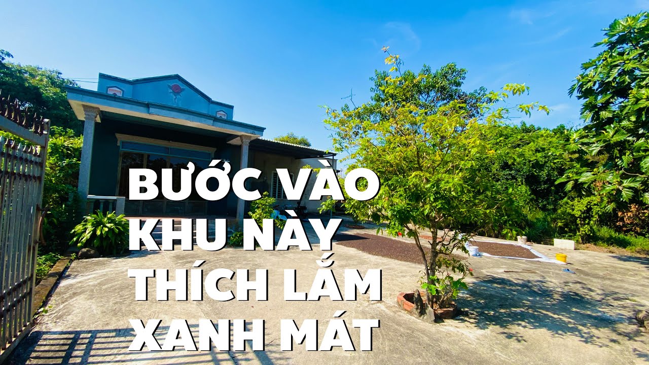 Nhà vườn cây trái xum xuê đường nhựa rộng ở BR-VT giá hơn 1 tỷ