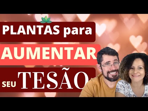 Vídeo: Como ficar (e ficar) motivado a malhar