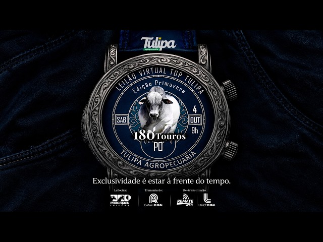 LOTE 17   APKT 940