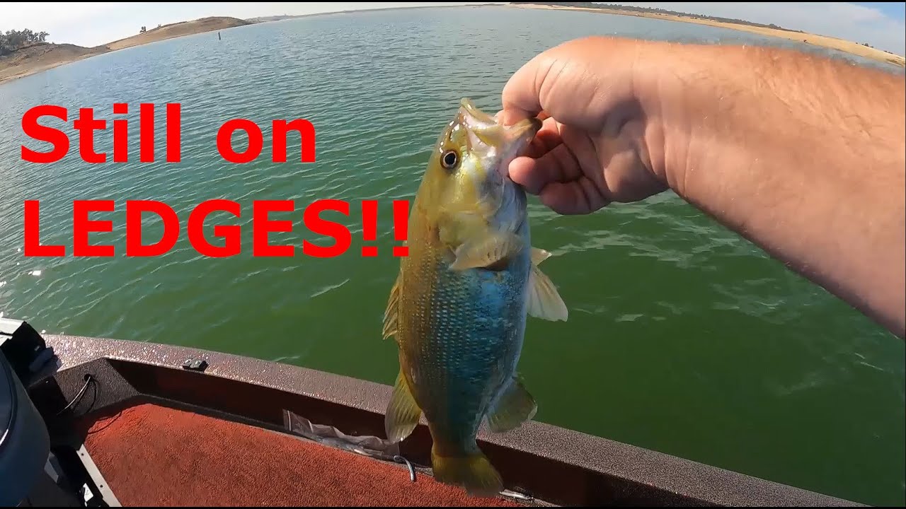Bass fishing Folsom Lake with the Water and Temps both droppin. YouTube