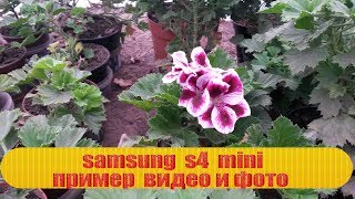 САМСУНГ S4 MINI ПРИМЕР ФОТО И ВИДЕО САМСУНГ S4 MINI ПРИМЕР ФОТО И ВИДЕО