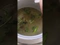 Bagara Rice🍚#telanganastyle #viralvideo #trendingshorts #food 🔥⚡✨😋