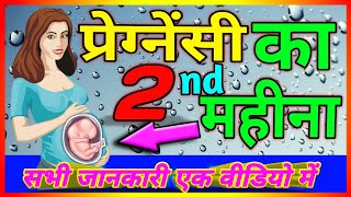 गर्भ का दूसरा महीना | प्रेग्नेंसी का 2 महीना | garbhavastha | Pregnancy ka Dusra month #pregnancy