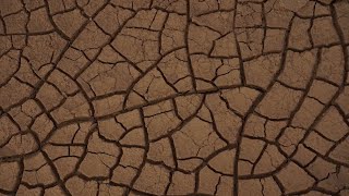 Acción Climática en 60 segundos