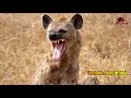 ۱۰ تا از بدترین راه های مردن